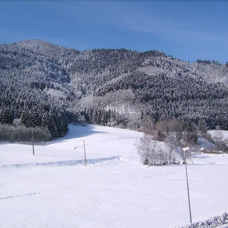 Zur Erle Guest house Simonswald