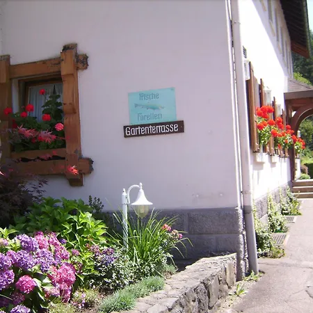 Zur Erle Gæstehus 3*