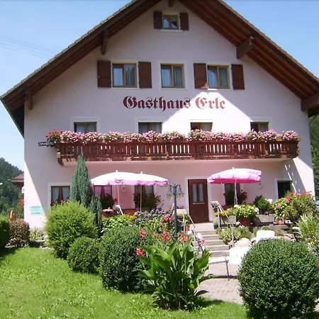 Zur Erle Guest house 2*