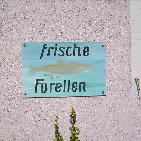 Zur Erle Gæstehus Simonswald