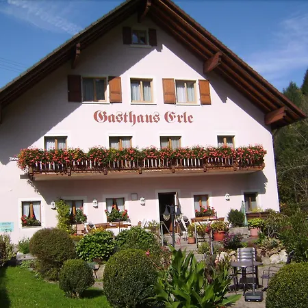 Zur Erle בית הארחה